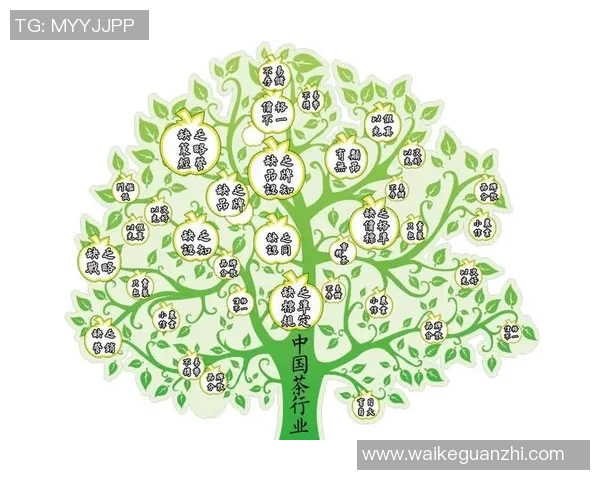 上海篮球队的精神世界:探索球队背后的文化与意识形态 上海篮球队的精神世界:探索球队背后的文化与意识形态