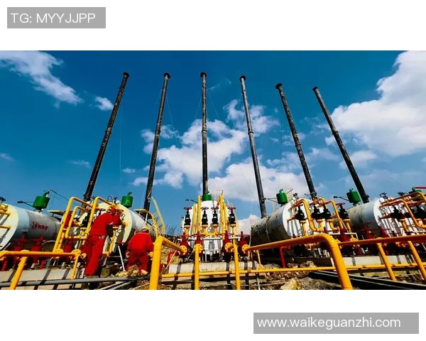 LNG市场反击策略深度分析与未来发展趋势探讨 LNG市场反击策略深度分析与未来发展趋势探讨