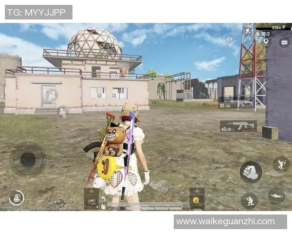 和平精英战术解析：BLG战队的灵活转换体系与实战应用