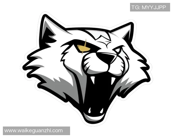 深入探讨黄丽的成功秘诀与CSGO的辉煌历程 深入探讨黄丽的成功秘诀与CSGO的辉煌历程