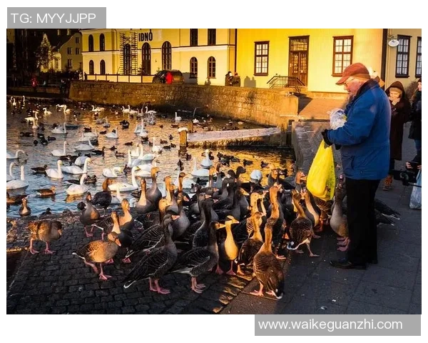 雷克雅未克与草蜢的精彩对决分析与赛后点评