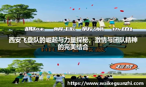西安飞盘队的崛起与力量探秘，激情与团队精神的完美结合