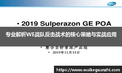 专业解析WE战队反击战术的核心策略与实战应用
