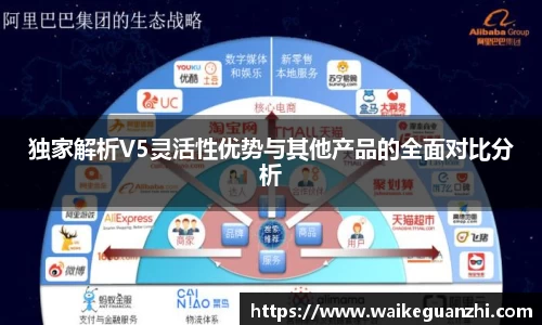 独家解析V5灵活性优势与其他产品的全面对比分析