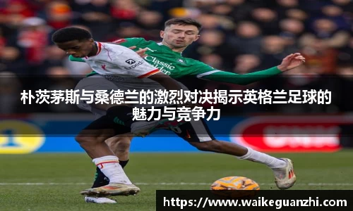 朴茨茅斯与桑德兰的激烈对决揭示英格兰足球的魅力与竞争力